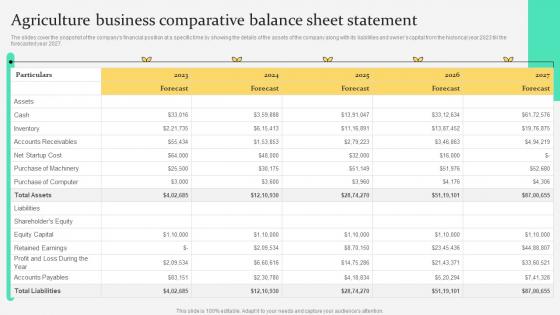 Agriculture Comparative Balance Sheet Statement Agriculture Products Business Plan BP SS