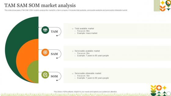 Agriculture Crop Marketing TAM SAM SOM Market Analysis Strategy SS V