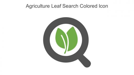 Agriculture Leaf Search Colored Icon In Powerpoint Pptx Png And Editable Eps Format