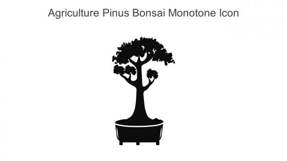 Agriculture Pinus Bonsai Monotone Icon In Powerpoint Pptx Png And Editable Eps Format