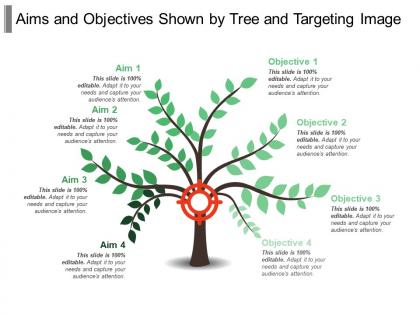 Aims and objectives shown by tree and targeting image
