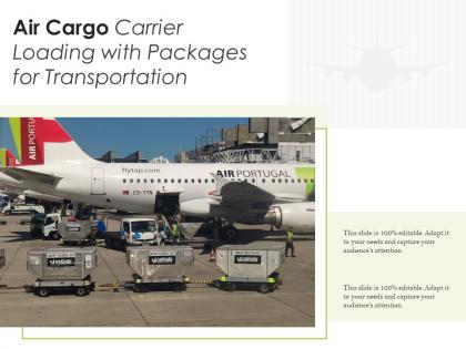 Air cargo carrier loading with packages for transportation