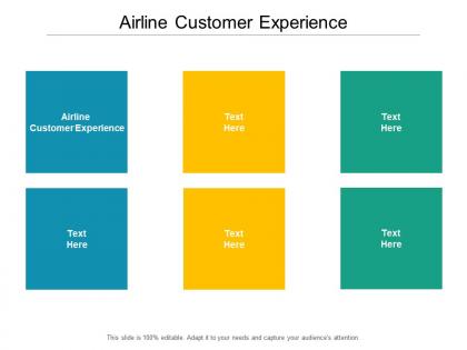 Airline customer experience ppt powerpoint presentation inspiration clipart images cpb