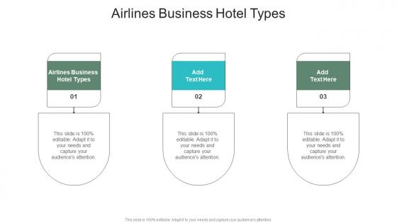 Airlines Business Hotel Types In Powerpoint And Google Slides Cpb