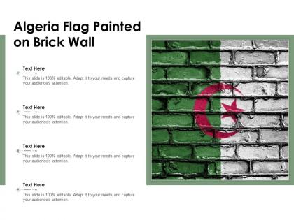 Algeria flag painted on brick wall