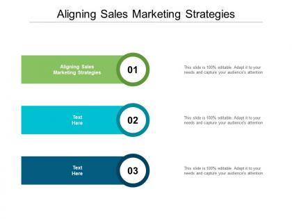 Aligning sales marketing strategies ppt powerpoint presentation file example cpb