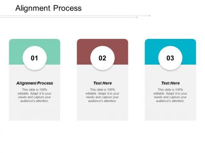 Alignment process ppt powerpoint presentation file example cpb