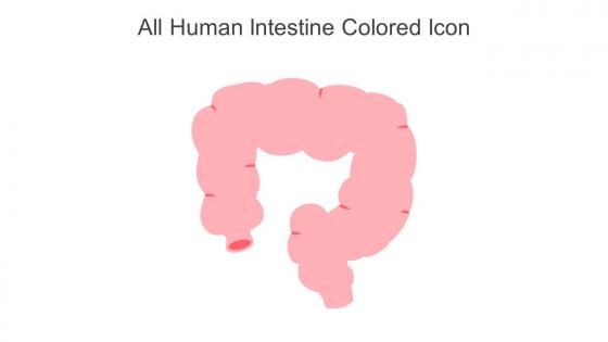 All Human Intestine Colored Icon In Powerpoint Pptx Png And Editable Eps Format