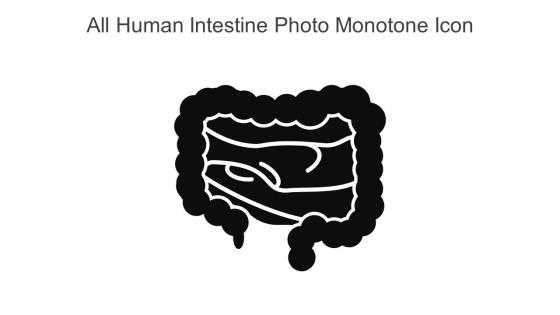 All Human Intestine Photo Monotone Icon In Powerpoint Pptx Png And Editable Eps Format