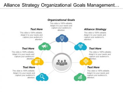 Alliance strategy organizational goals management challenges strategic objectives cpb