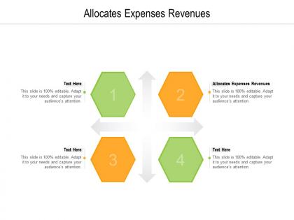 Allocates expenses revenues ppt powerpoint presentation model infographics cpb