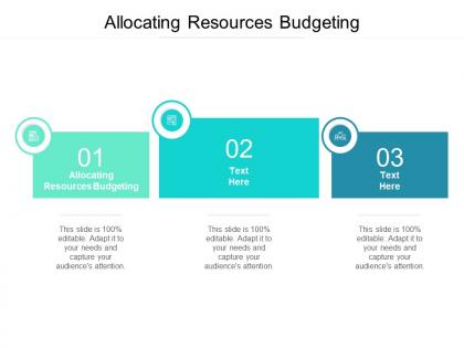 Allocating resources budgeting ppt powerpoint presentation format cpb