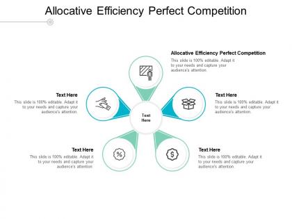 Allocative efficiency perfect competition ppt powerpoint presentation slides rules cpb