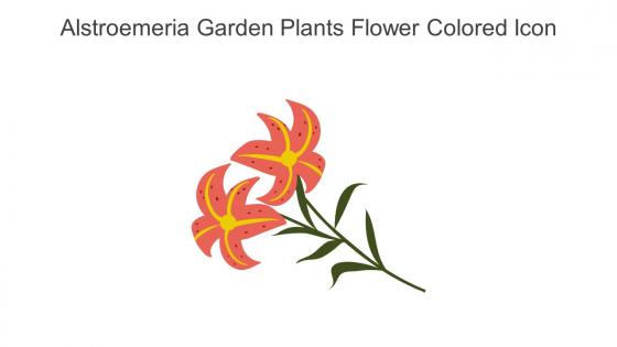 Alstroemeria Garden Plants Flower Colored Icon In Powerpoint Pptx Png And Editable Eps Format