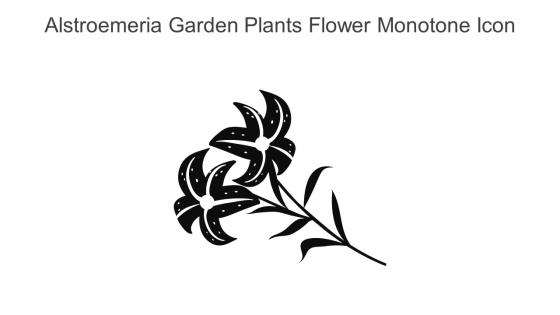 Alstroemeria Garden Plants Flower Monotone Icon In Powerpoint Pptx Png And Editable Eps Format