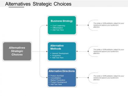 Alternatives strategic choices