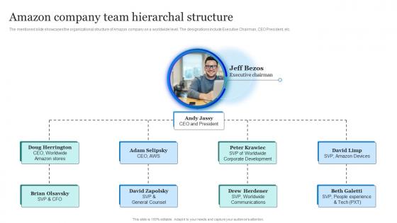 Amazon Marketing Strategy Amazon Company Team Hierarchal Structure