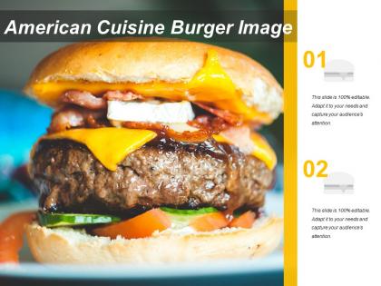 American cuisine burger image