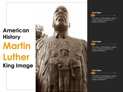 American history martin luther king image