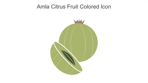 Amla Citrus Fruit Colored Icon In Powerpoint Pptx Png And Editable Eps Format