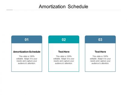 Amortization schedule ppt powerpoint presentation model graphic images cpb