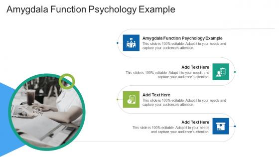Amygdala Function Psychology Example In Powerpoint And Google Slides Cpb