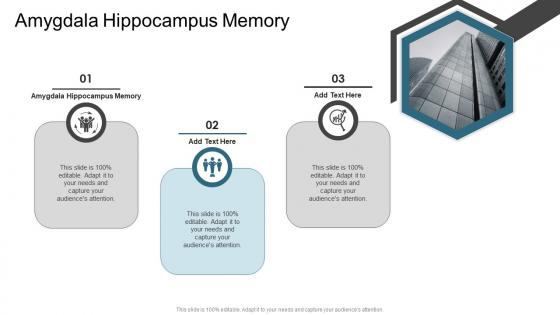 Amygdala Hippocampus Memory In Powerpoint And Google Slides Cpb