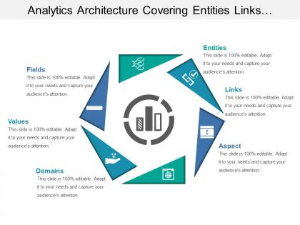 Analytics architecture covering entities links domains values and fields