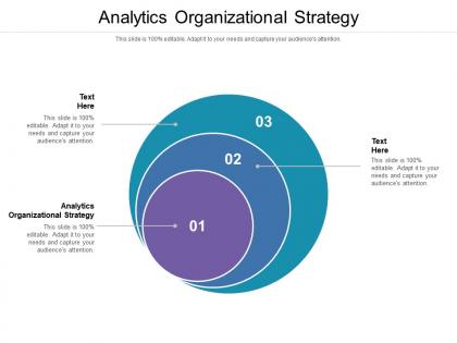 Analytics organizational strategy ppt powerpoint presentation layouts designs cpb