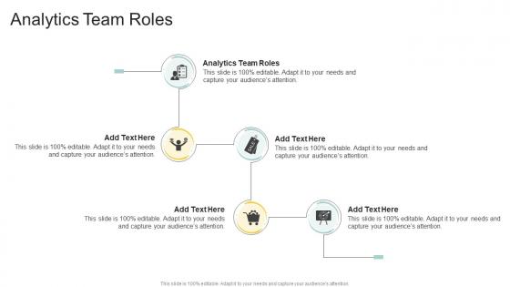 Analytics Team Roles In Powerpoint And Google Slides Cpb