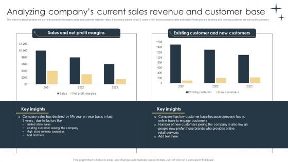 Analyzing Companys Current Sales Revenue And Customer Base E Commerce Marketing Strategies