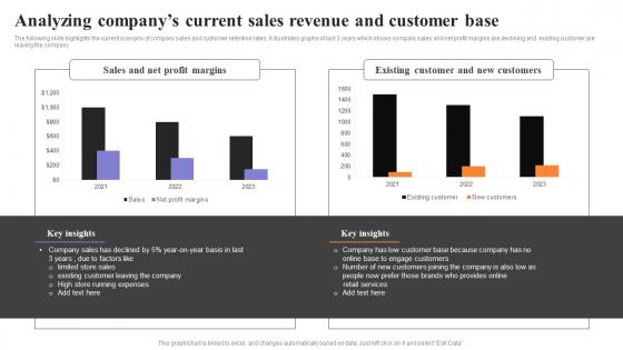 Analyzing Companys Current Sales Revenue And Customer Base Strategies To Engage Customers