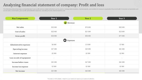 Analyzing Financial Statement Of Company Profit And Loss State Of The Information Technology Industry MKT SS V