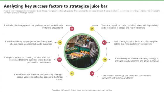 Analyzing Key Success Factors To Strategize Juice Nekter Juice And Shakes Bar Business Plan Sample BP SS