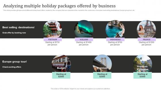 Analyzing Multiple Holiday Packages New And Effective Guidelines For Tourist Strategy SS V