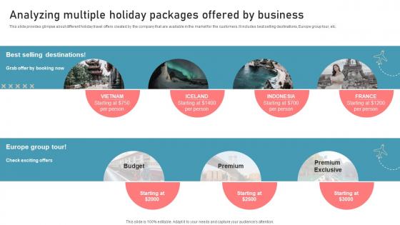 Analyzing Multiple Holiday Packages Offered By Business New Travel Agency Marketing Plan
