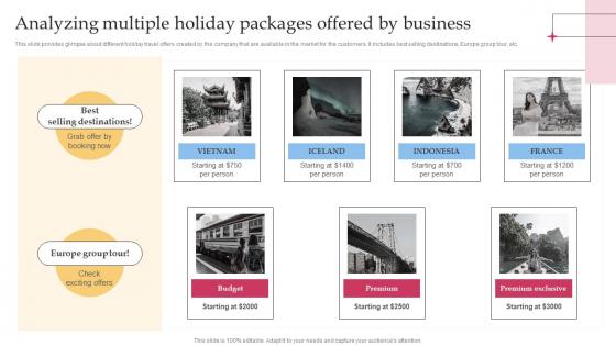 Analyzing Multiple Holiday Packages Offered By Efficient Tour Operator Advertising Plan Strategy SS V