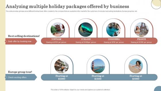 Analyzing Multiple Holiday Packages Offered Elevating Sales Revenue With New Travel Company Strategy SS V