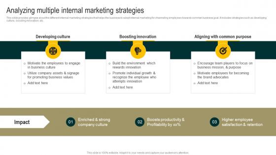 Analyzing Multiple Internal Marketing Strategies Streamlined Holistic Marketing Techniques MKT SS V
