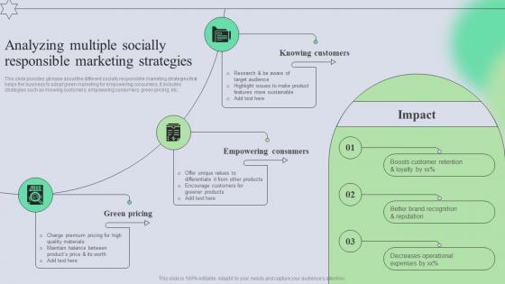Analyzing Multiple Socially Responsible Marketing Strategies Complete Guide Of Holistic MKT SS V
