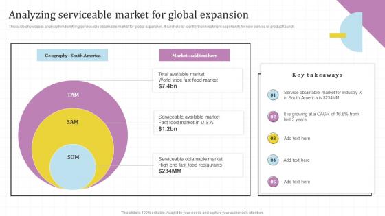 Analyzing Serviceable Market Expansion Global Market Assessment And Entry Strategy For Business
