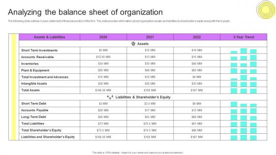 Analyzing The Balance Sheet Of Organization Financial Planning Analysis Guide Small Large Businesses