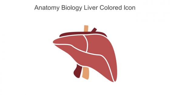 Anatomy Biology Liver Colored Icon In Powerpoint Pptx Png And Editable Eps Format
