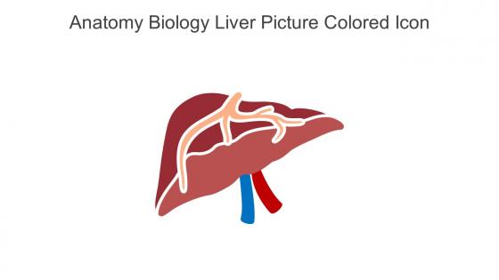 Anatomy Biology Liver Picture Colored Icon In Powerpoint Pptx Png And Editable Eps Format