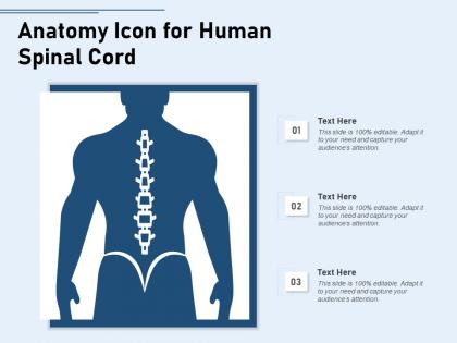 Anatomy icon for human spinal cord