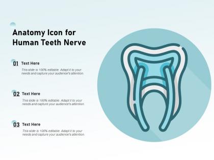 Anatomy icon for human teeth nerve