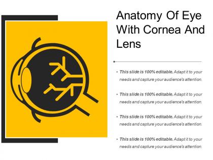 Anatomy of eye with cornea and lens