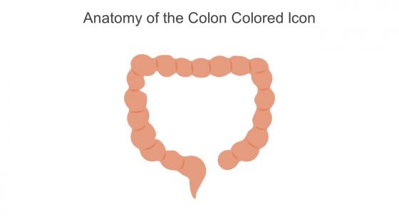 Anatomy Of The Colon Colored Icon In Powerpoint Pptx Png And Editable Eps Format