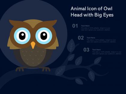 Animal icon of owl head with big eyes