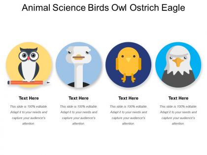 Animal science birds owl ostrich eagle